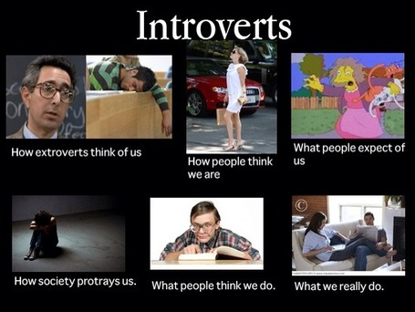 5 Introverted Facts | BB2
